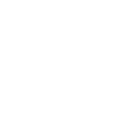 whimsy and words logo white 
